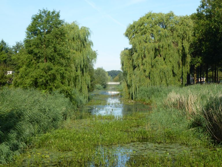 Groen