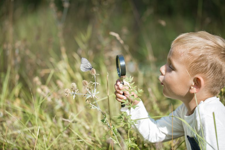 Biodiversiteit